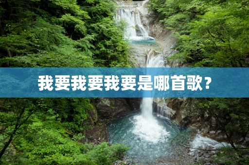我要我要我要是哪首歌？