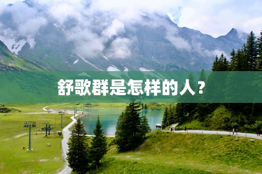舒歌群是怎样的人？