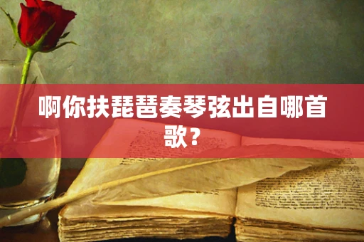 啊你扶琵琶奏琴弦出自哪首歌？