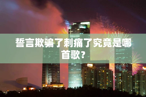 誓言欺骗了刺痛了究竟是哪首歌？