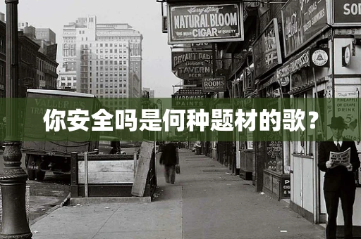 你安全吗是何种题材的歌？