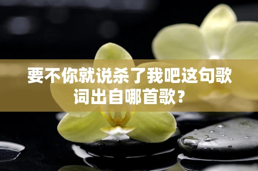 要不你就说杀了我吧这句歌词出自哪首歌？