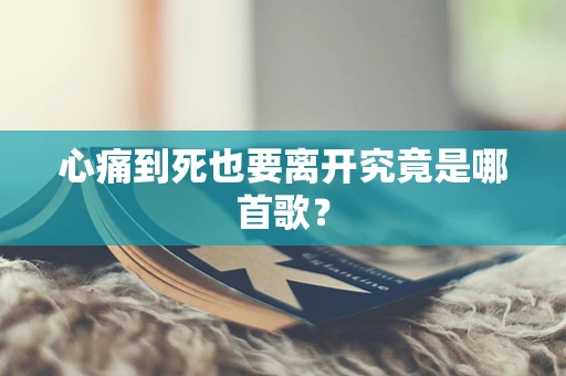 心痛到死也要离开究竟是哪首歌？