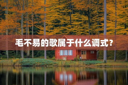 毛不易的歌属于什么调式？