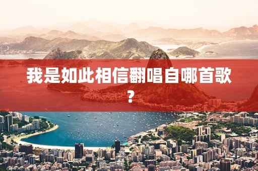 我是如此相信翻唱自哪首歌？