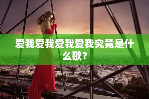 爱我爱我爱我爱我究竟是什么歌？