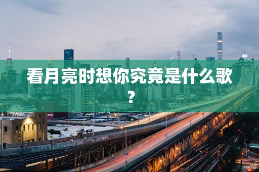 看月亮时想你究竟是什么歌？