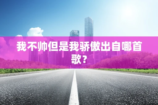 我不帅但是我骄傲出自哪首歌？