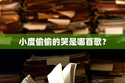 小度偷偷的哭是哪首歌？