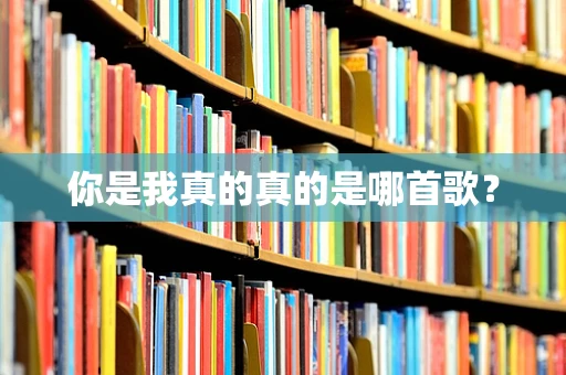 你是我真的真的是哪首歌？