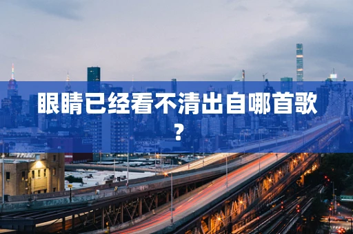 眼睛已经看不清出自哪首歌？