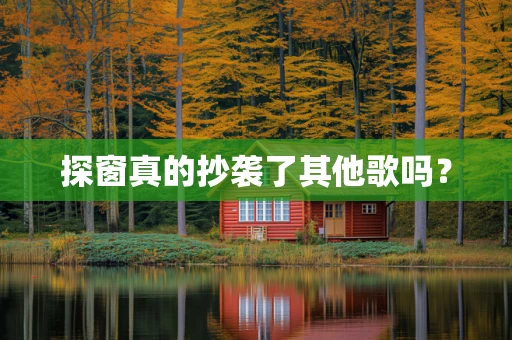探窗真的抄袭了其他歌吗？