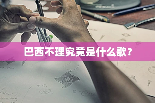 巴西不理究竟是什么歌？