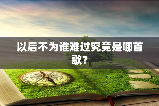 以后不为谁难过究竟是哪首歌？