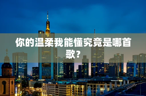 你的温柔我能懂究竟是哪首歌？