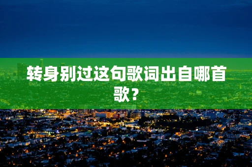 转身别过这句歌词出自哪首歌？