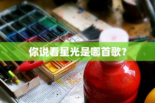 你说看星光是哪首歌？