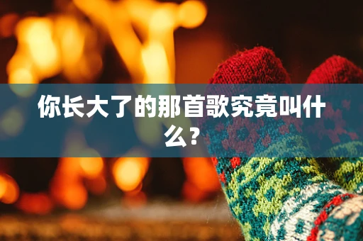 你长大了的那首歌究竟叫什么？