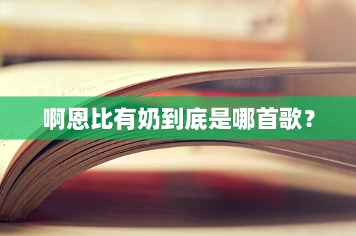 啊恩比有奶到底是哪首歌？