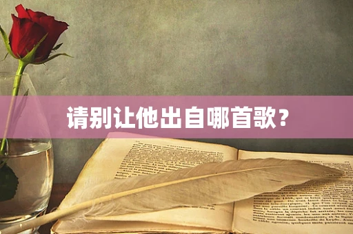 请别让他出自哪首歌？