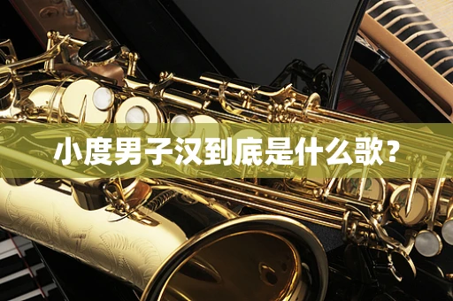 小度男子汉到底是什么歌？