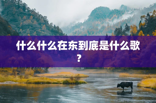 什么什么在东到底是什么歌？