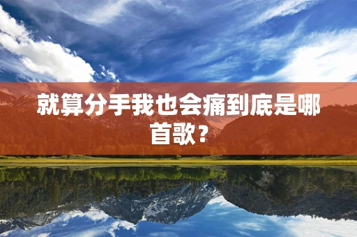 就算分手我也会痛到底是哪首歌？