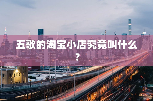 五歌的淘宝小店究竟叫什么？