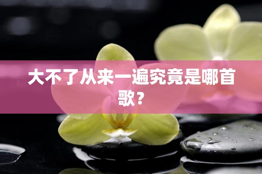 大不了从来一遍究竟是哪首歌？