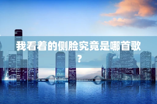 我看着的侧脸究竟是哪首歌？