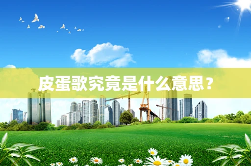 皮蛋歌究竟是什么意思？