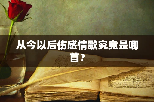 从今以后伤感情歌究竟是哪首？