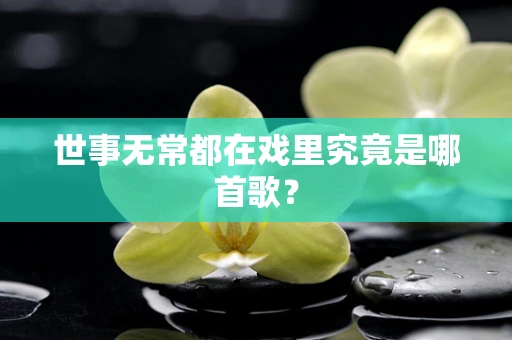 世事无常都在戏里究竟是哪首歌？