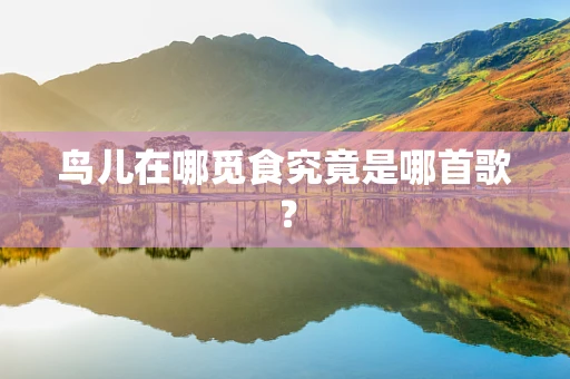 鸟儿在哪觅食究竟是哪首歌？