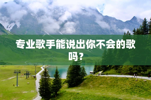 专业歌手能说出你不会的歌吗？