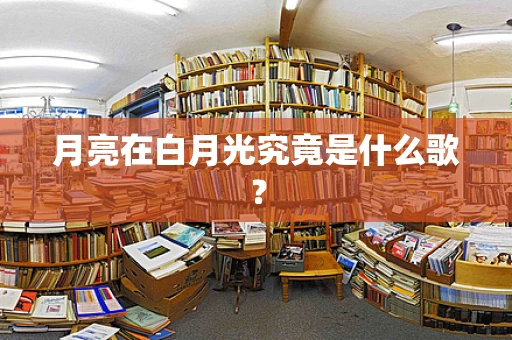 月亮在白月光究竟是什么歌？
