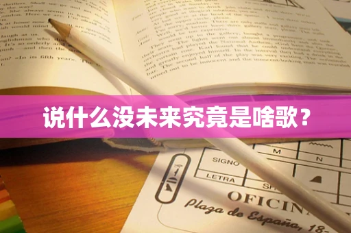说什么没未来究竟是啥歌？