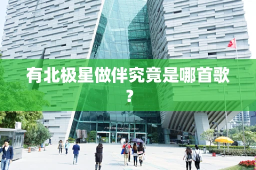 有北极星做伴究竟是哪首歌？
