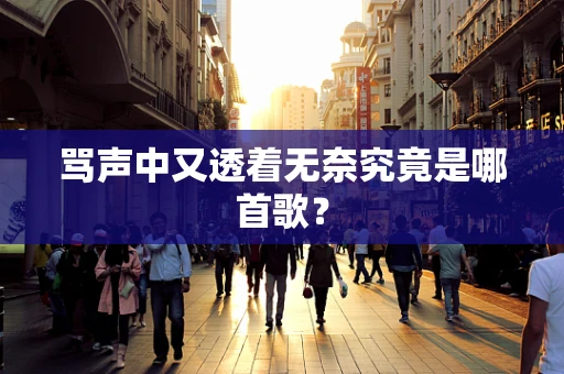 骂声中又透着无奈究竟是哪首歌？