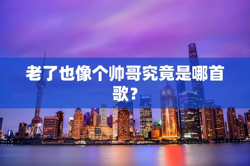 老了也像个帅哥究竟是哪首歌？