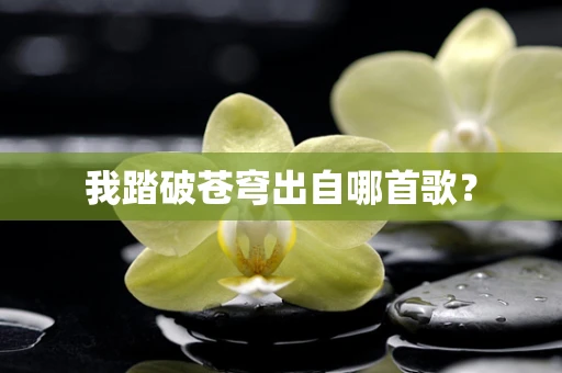 我踏破苍穹出自哪首歌？