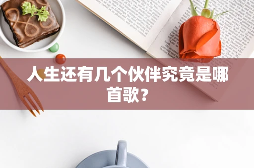 人生还有几个伙伴究竟是哪首歌？