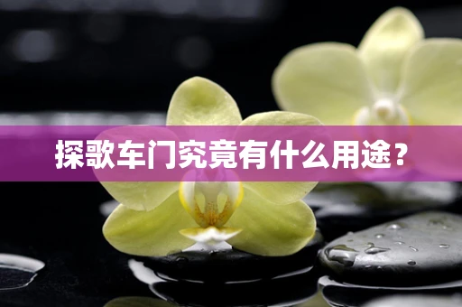 探歌车门究竟有什么用途？