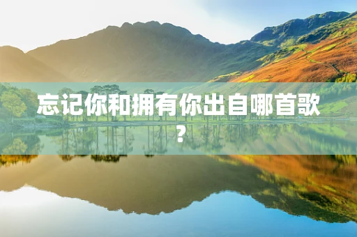 忘记你和拥有你出自哪首歌？