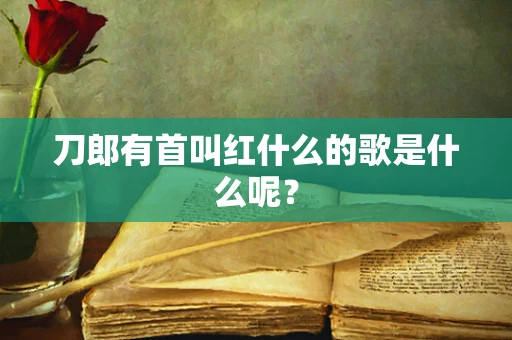 刀郎有首叫红什么的歌是什么呢？