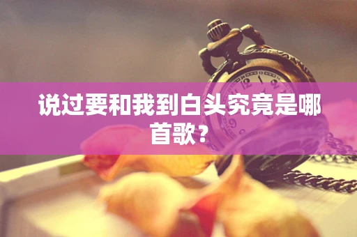 说过要和我到白头究竟是哪首歌？