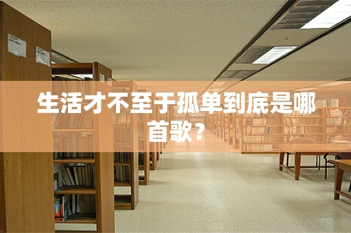 生活才不至于孤单到底是哪首歌？