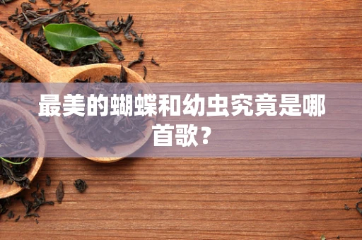 最美的蝴蝶和幼虫究竟是哪首歌？
