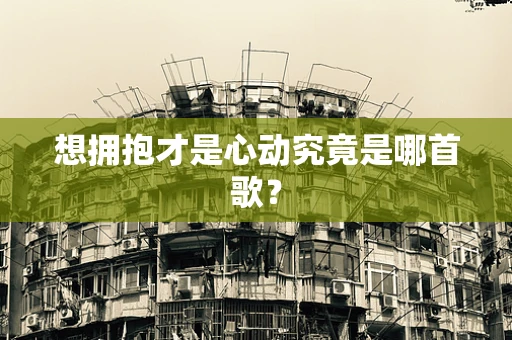 想拥抱才是心动究竟是哪首歌？