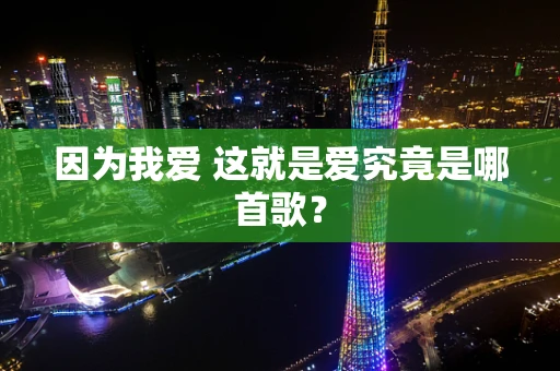 因为我爱 这就是爱究竟是哪首歌？